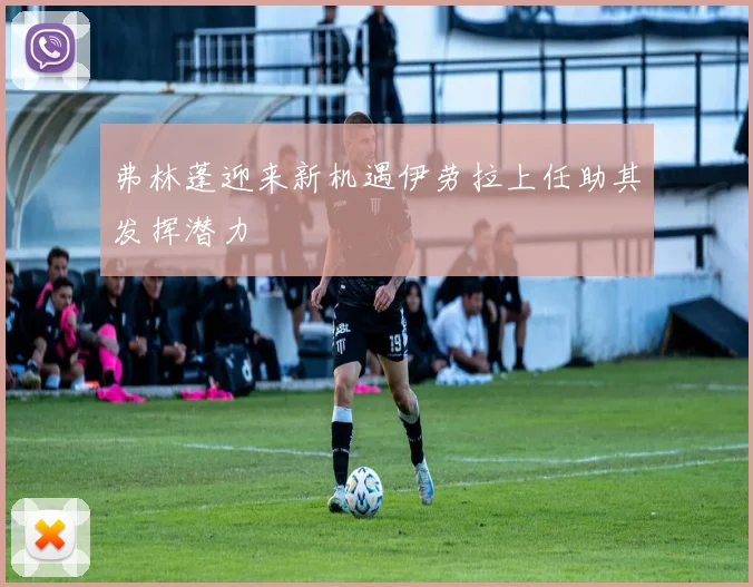 弗林蓬迎来新机遇伊劳拉上任助其发挥潜力